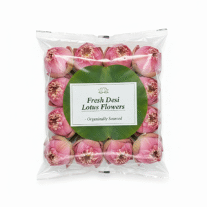 Lotus/Gulab ka Phool